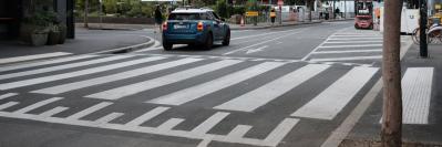 Pedestrian Safety Equipment for Crossings
